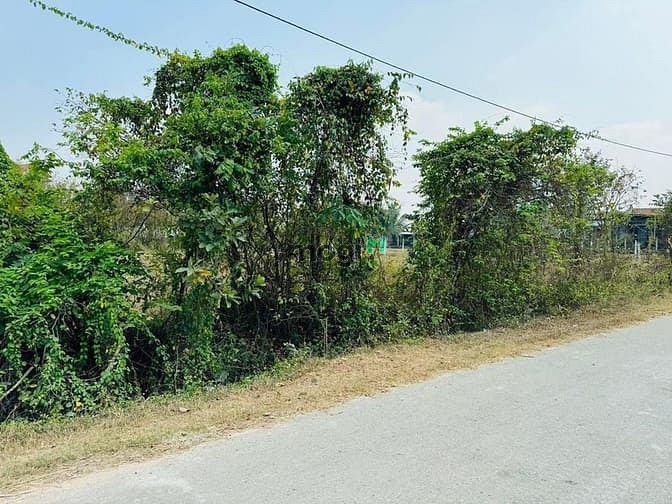 Hình ảnh Bán 971m2 đất Thái Mỹ. Giá 4,6 TỶ