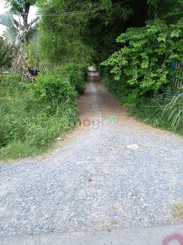 Hình ảnh Bán 3006m2 (66x41). Phú Hòa Đông. Giá 11 tỷ