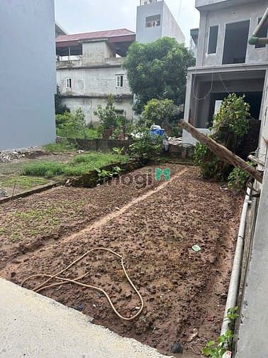 Hình ảnh ĐẤT THỔ CƯ PHÚC LỢI LONG BIÊN 54M gần đường oto tránh 5,5 tỷ