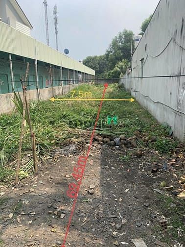Hình ảnh Bán 521m2 đất MT đường Trung An. Giá 8 tỷ