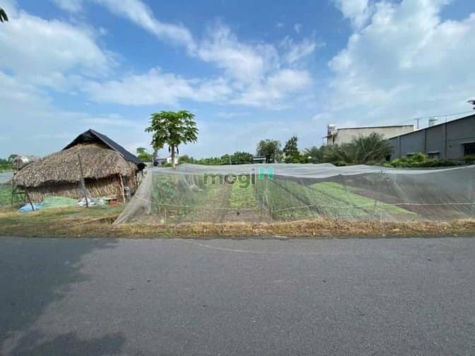 Hình ảnh Bán 540m2 (10x54) đất MT Tân Thông Hội. Giá 5 tỷ