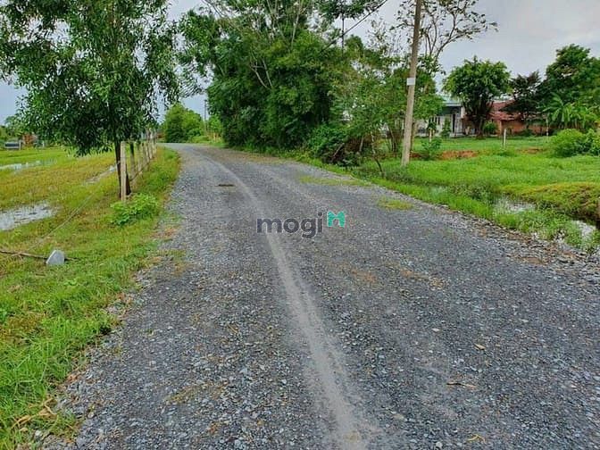 Hình ảnh Bán 330m2 (10x33). Full thổ cư. Trung Lập Thượng. Giá 2,750 tỷ
