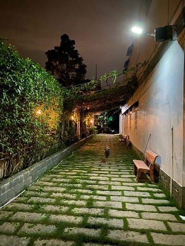 Hình ảnh Bán Xưởng 1168m2. Tân Phú Trung. Giá: 16 tỷ