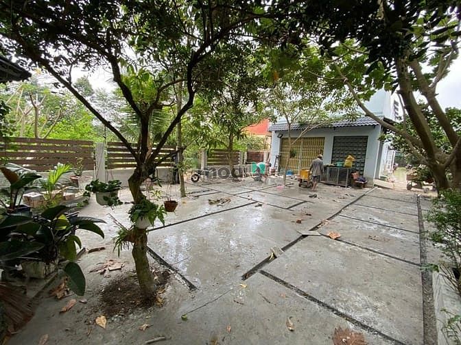 Hình ảnh Bán Xưởng 1168m2. Tân Phú Trung. Giá: 16 tỷ