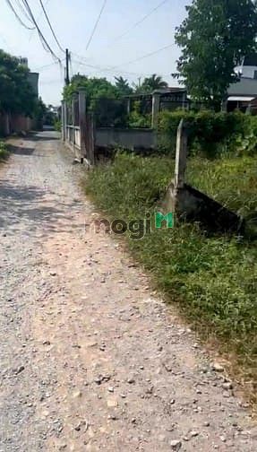 Hình ảnh Bán 381m2 (10x39) đất Tân Thạnh Đông. Giá 3,980
