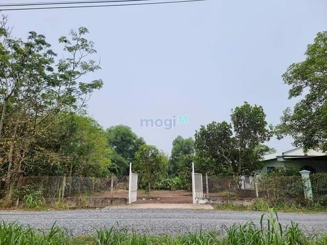 Hình ảnh Bán 600m2 (20x30). Đất Phước Thạnh. Giá 4,660 tỷ