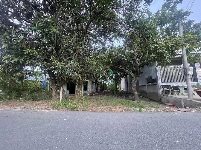 Hình ảnh Bán 340m2 (10x34). Tân Thông Hội. Giá: 5 tỷ