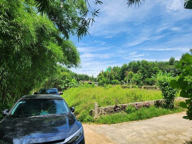 Hình ảnh Bán đất giá rẻ tại Thị xã Quảng Trị