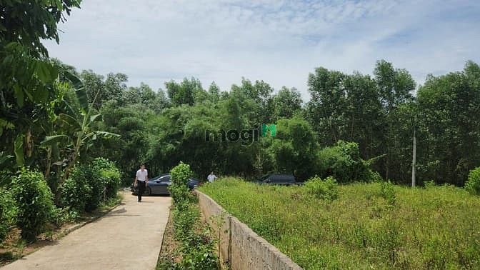 Hình ảnh Bán đất giá rẻ tại Thị xã Quảng Trị