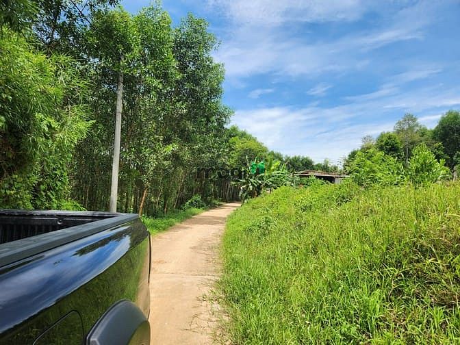 Hình ảnh Bán đất giá rẻ tại Thị xã Quảng Trị