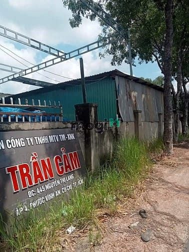 Hình ảnh Bán Xưởng 946m2. MT Nguyễn Thị Lắng. Giá 12 tỷ
