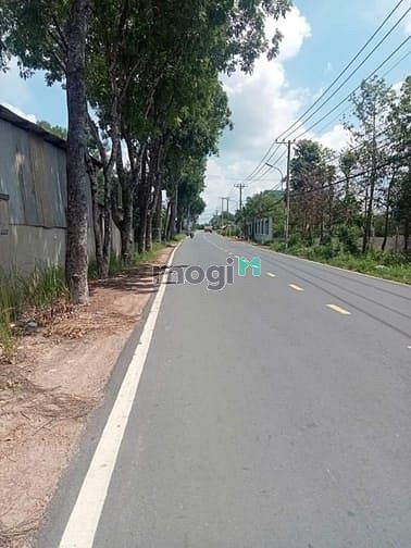 Hình ảnh Bán Xưởng 946m2. MT Nguyễn Thị Lắng. Giá 12 tỷ