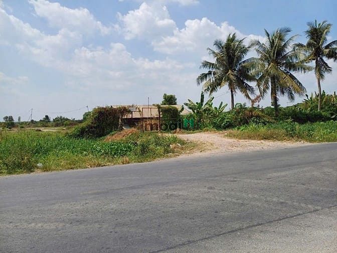 Hình ảnh Bán 30.000m2 đất MT Võ Văn Bích, Bình Mỹ. Giá 125 tỷ