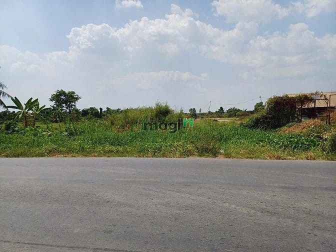 Hình ảnh Bán 30.000m2 đất MT Võ Văn Bích, Bình Mỹ. Giá 125 tỷ