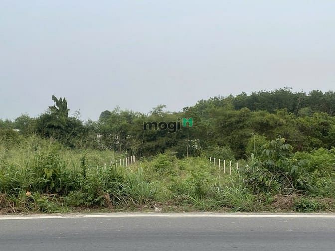 Hình ảnh Bán 510m2 đất MT tỉnh lộ 7. Giá 4,9 tỷ