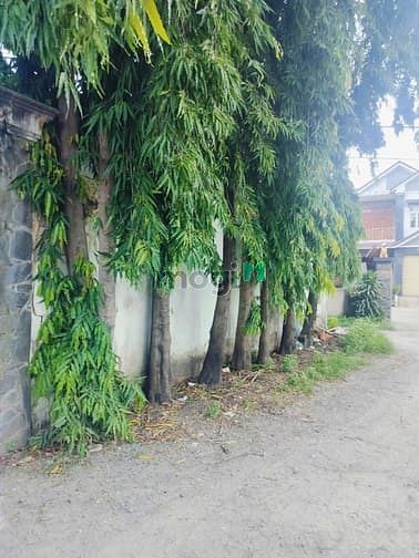 Hình ảnh Bán Xưởng 1300m2, Tân Thạnh Đông. Giá 18,5 tỷ