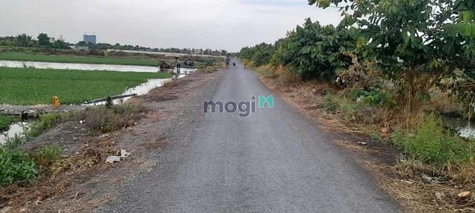 Hình ảnh Bán 8130m2 đất BÌNH MỸ. Giá 65 tỷ
