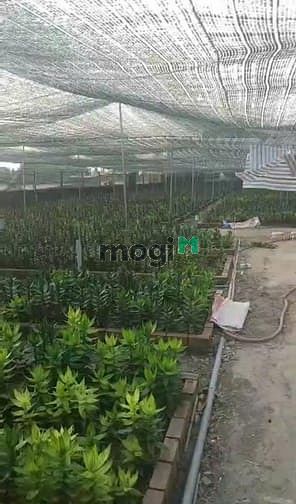 Hình ảnh Bán 1200m2 đất Xã Tân Phú Trung. Giá 10 tỷ