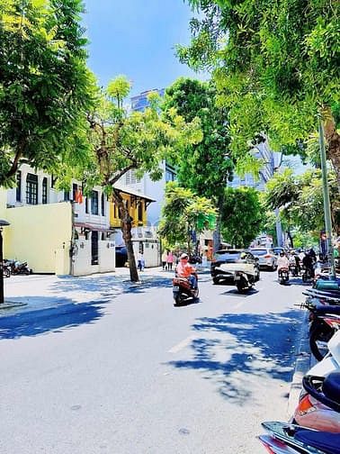 Hình ảnh 140tr! Ngang 8m - DTSD: 320m2! Cho thuê MT Nguyễn Đình Chiểu Qu