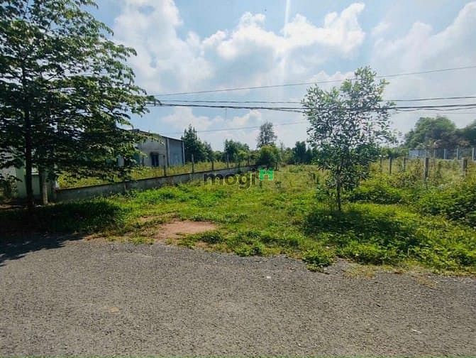 Hình ảnh Bán 1500m2 đất đường Nhựa Phan Thị Vẽ. Giá 4,8 tỷ
