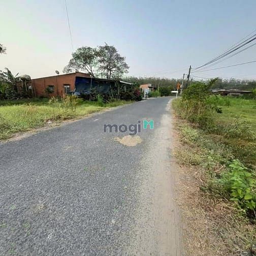 Hình ảnh Bán 1500m2 đất đường Nhựa Phan Thị Vẽ. Giá 4,8 tỷ
