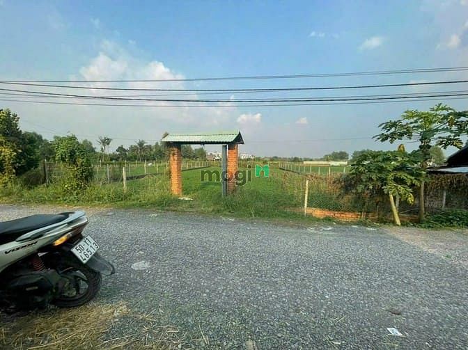 Hình ảnh Bán 1000m2 Bình Mỹ, củ chi.Giá 7 tỷ
