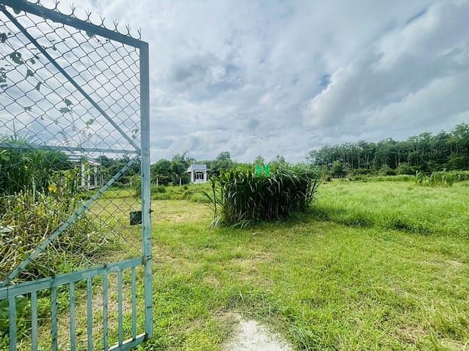 Hình ảnh Bán 2700m2 đất Phước Thạnh. Giá 2,2 triệu/m2