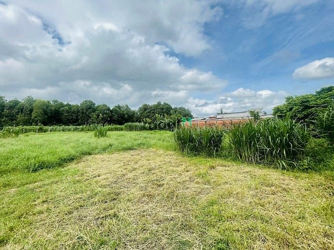 Hình ảnh Bán 2700m2 đất Phước Thạnh. Giá 2,2 triệu/m2
