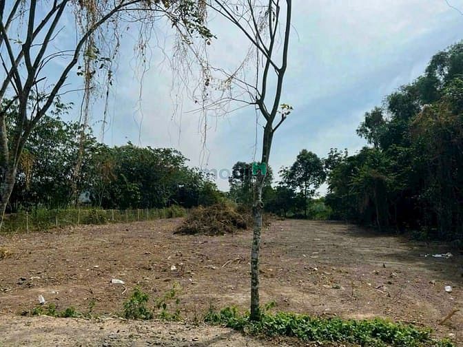 Hình ảnh Bán 1500m2 đất Hòa Phú. Giá 10,5 tỷ