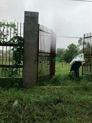 Hình ảnh Bán 5000m2 đất MT đường Bến Đình. Giá 15,2 tỷ