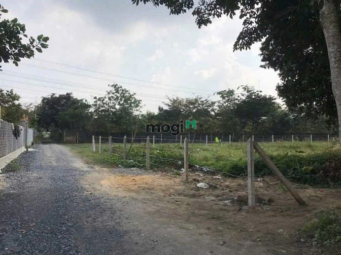 Hình ảnh Bán 1000m2 đất Tân Thạnh Đông. Giá 7,6 TỶ