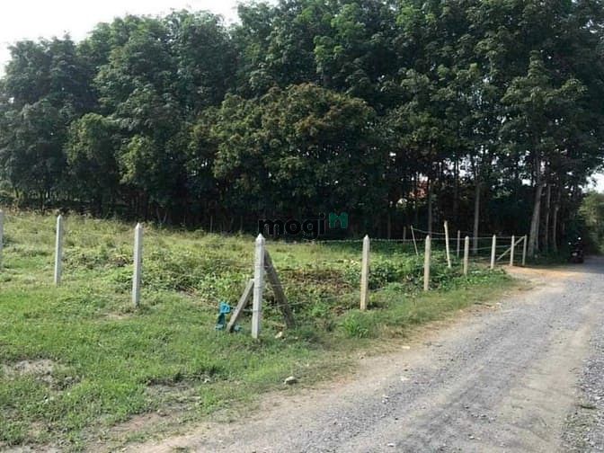 Hình ảnh Bán 1000m2 đất Tân Thạnh Đông. Giá 7,6 TỶ