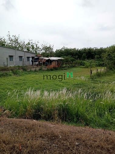 Hình ảnh Bán 724m2 đất MT tỉnh lộ 7. Giá 8,7 tỷ