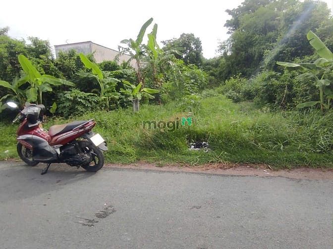Hình ảnh Bán 280m2 đất MT Bùi Thị Lành. Giá 2,550 tỷ