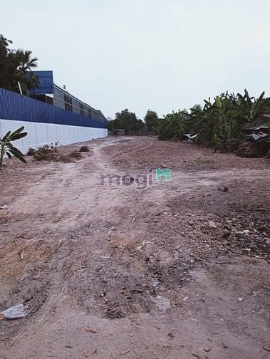 Hình ảnh Bán 2231m2 đất MT tỉnh lộ 2. Giá 26,5 tỷ