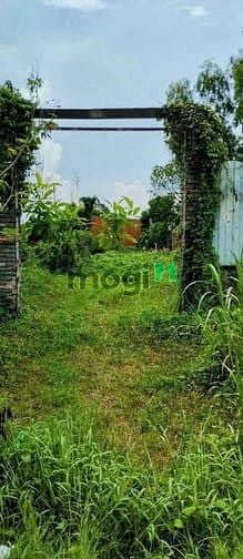 Hình ảnh Bán 340m2 đất MT đường Nguyễn Kim Cương. Giá 5,5 tỷ