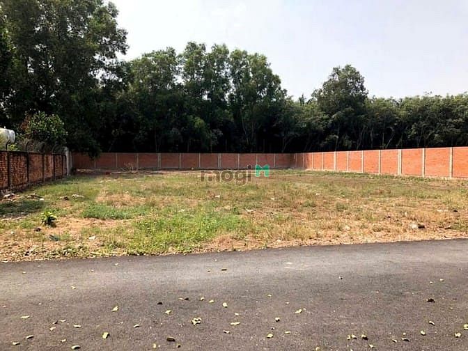 Hình ảnh Bán 1600m2 đất Trung An. Giá 11,5 tỷ