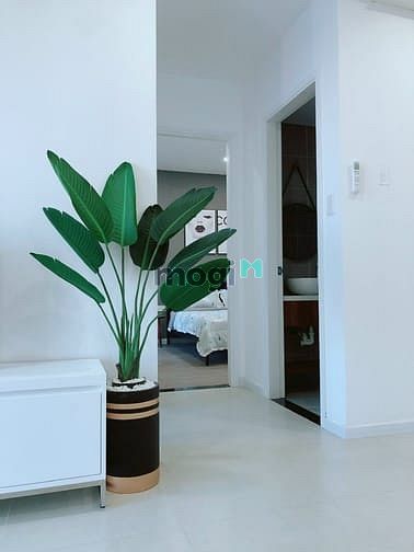 Hình ảnh Quản Lý 100% Căn Hộ Cho Thuê Sunrise Riverside, 2PN 11tr - 13tr