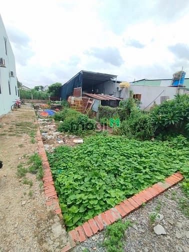 Hình ảnh Đất đẹp Sổ Riêng, Ô Tô đậu cổng, 100M2 , nhỉnh 2 Tỷ