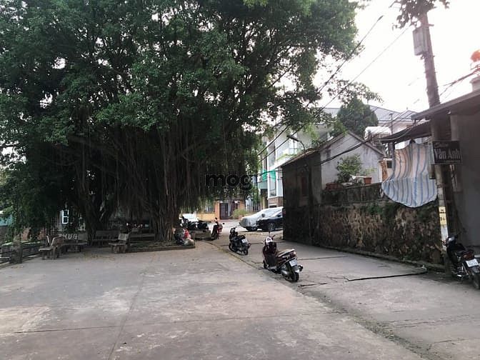 Hình ảnh Cần bán gấp 200m² đất đẹp tại Trường Yên, Chương Mỹ - Cơ hội vàng cho