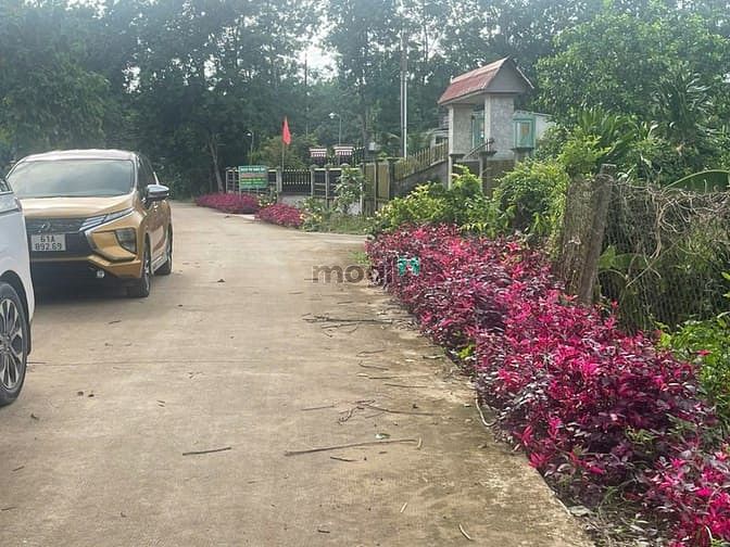 Hình ảnh Bán đất Bình Dương, sổ sẵn cầm tay công chứng ngay.