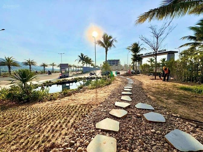 Hình ảnh Dự án Central Avenue – Khu kinh tế Nhơn Hội