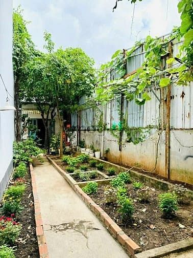 Hình ảnh Siêu phẩm 5 tấm BTCT Phạm Văn Chiêu P9 54m2 chỉ 7.350 tỷ
