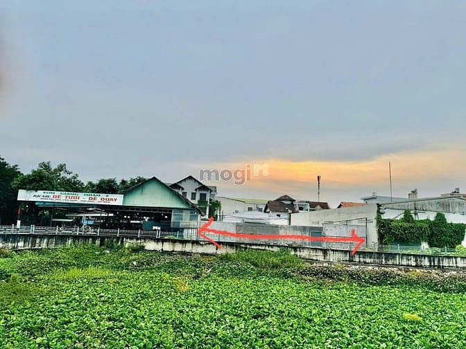 Hình ảnh Cho thuê đất 500m2 khu  Biệt Thự Thạnh Xuân,Phường Thạnh Xuân Quận 12