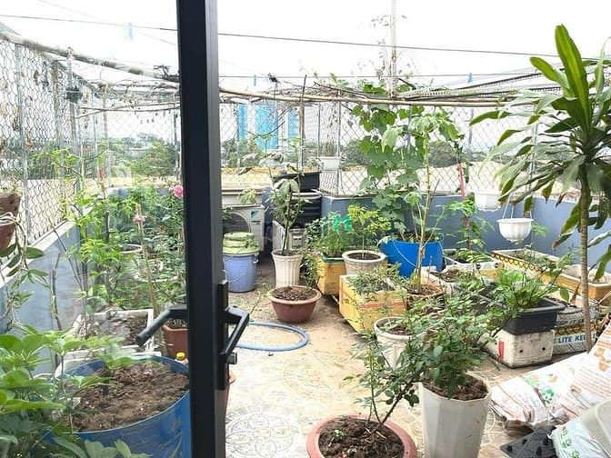 Hình ảnh Hiệp Phú, Tân Lập 1, 6.8tỷ, 77m2