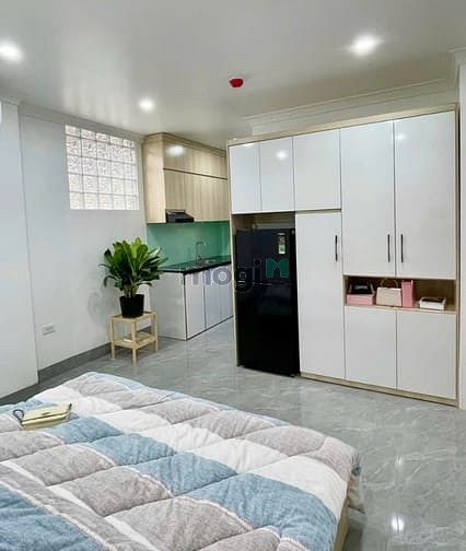 Hình ảnh Cho thuê Trang Chủ MB66.COM / Đăng Ký Tặng 66K chung cư mini siêu đẹp cạnh đường nguyễn thị thập, Q7