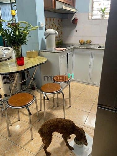 Hình ảnh 🌟HOA HẬU! TT k9 Nguyễn Khoái_Hai Bà Trưng_T2_LÔ GÓC_SỔ TO 46/86m 3PN