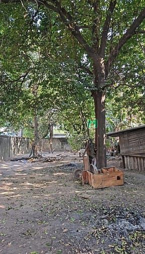 Hình ảnh Bán lô đất sát mặt tiền Kha Vạn Cân Linh Chiểu 750m2 Full thổ 55 Tỷ