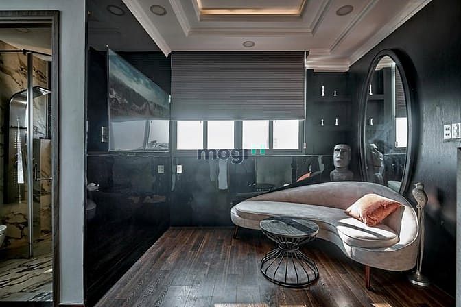 Hình ảnh Khai Trương Penthouse Siêu Xịn Gần Công Viên Lê Thị Riêng