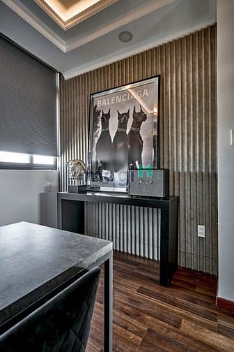 Hình ảnh Khai Trương Penthouse Siêu Xịn Gần Công Viên Lê Thị Riêng